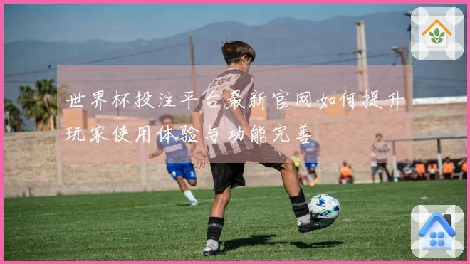 世界杯投注平台最新官网如何提升玩家使用体验与功能完善