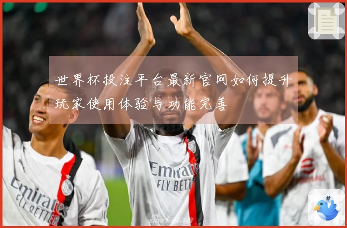 世界杯投注平台最新官网如何提升玩家使用体验与功能完善