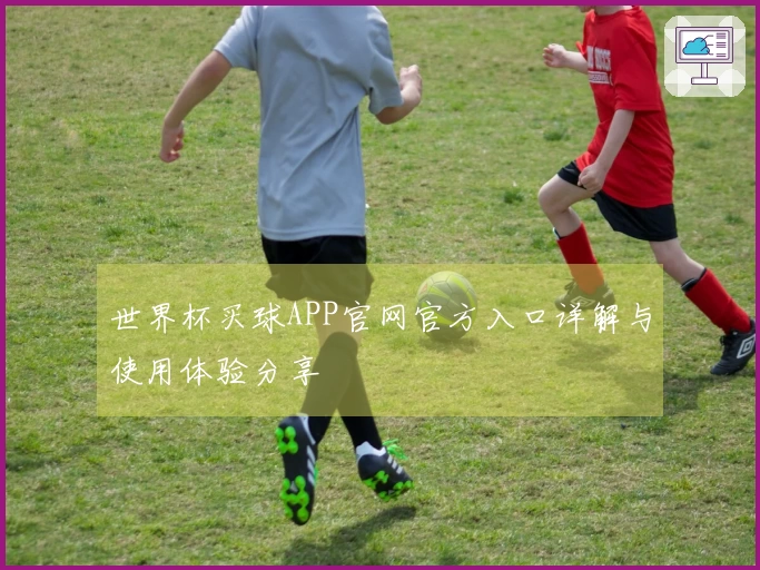 世界杯买球APP官网官方入口详解与使用体验分享