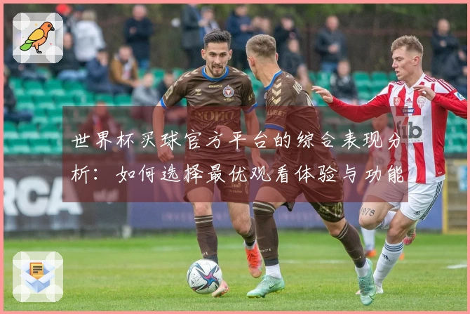 世界杯买球官方平台的综合表现分析：如何选择最优观看体验与功能指南