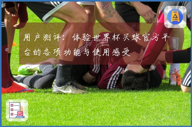 用户测评：体验世界杯买球官方平台的各项功能与使用感受