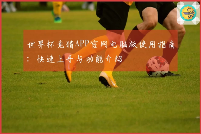 世界杯竞猜APP官网电脑版使用指南：快速上手与功能介绍
