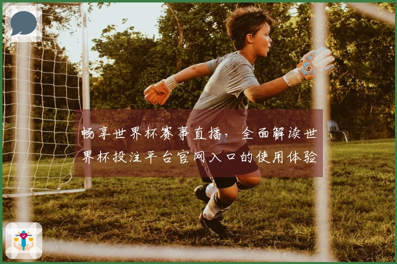 畅享世界杯赛事直播，全面解读世界杯投注平台官网入口的使用体验与功能介绍